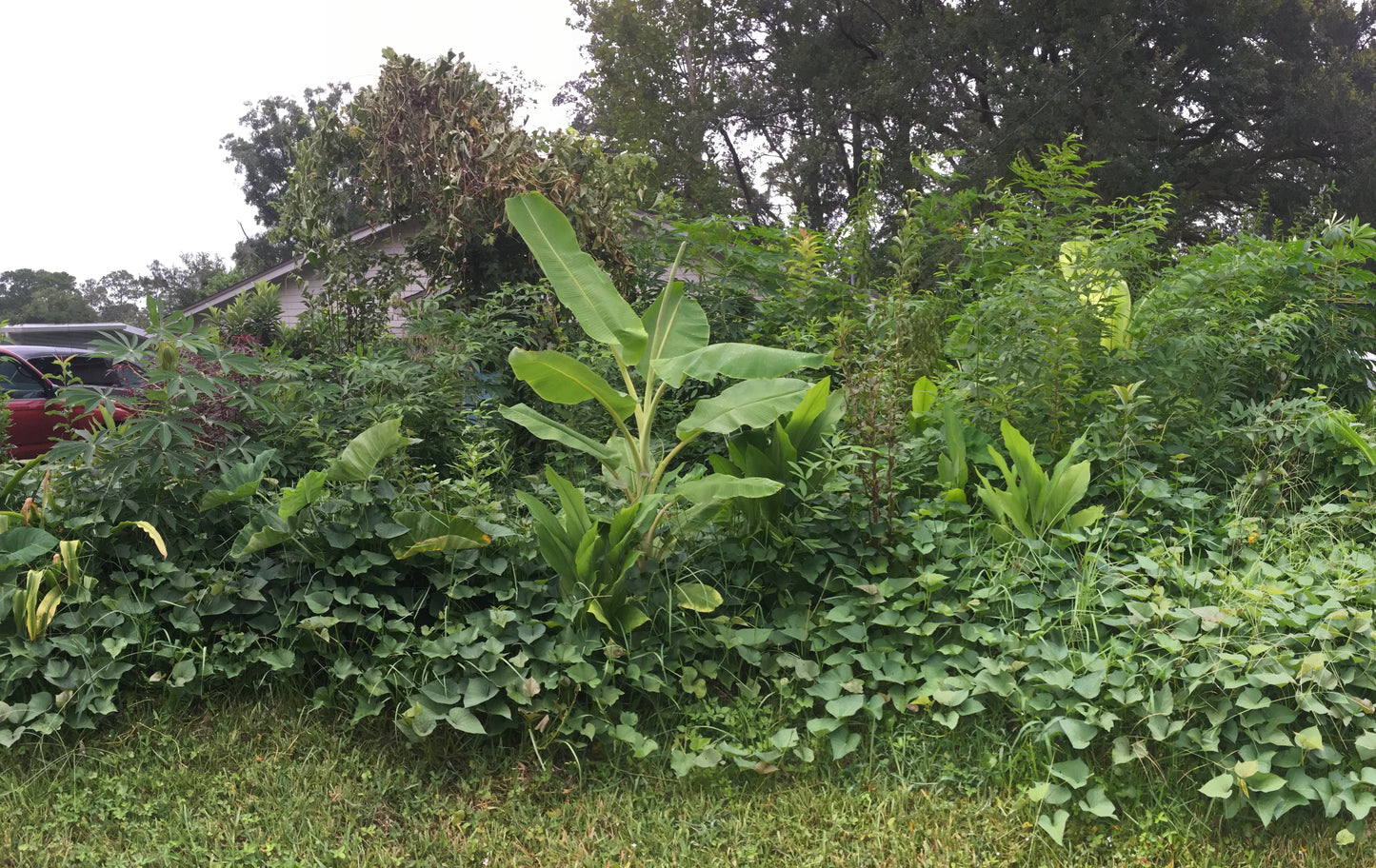 Personalized Permaculture Plan